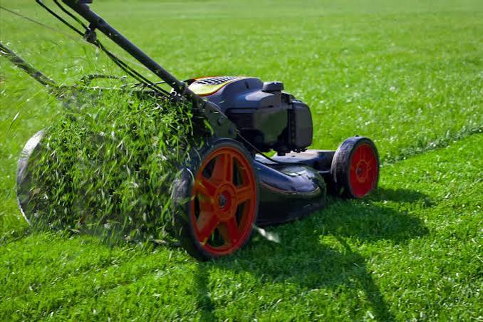 Lawn care and turf management